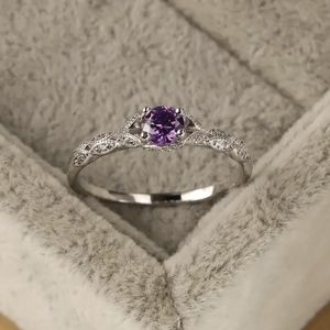 NEW silver tone small zircon stones inlaid on both sides of amethyst rhinestone